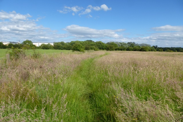 Path through long grass © DS Pugh cc-by-sa/2.0 :: Geograph Britain and ...