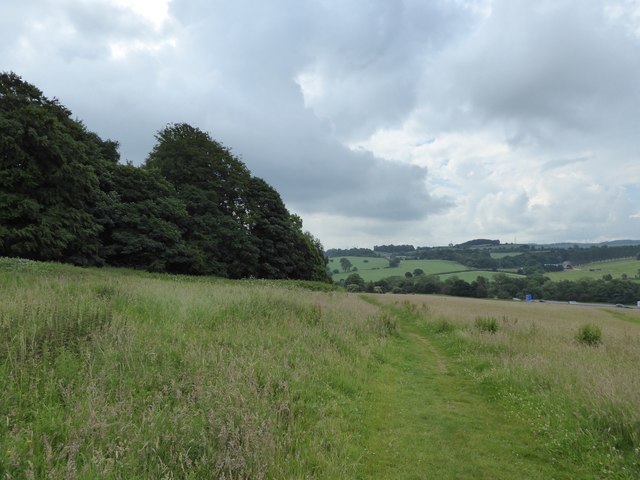 Path along side of Rowley Wood
