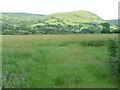 Llandinam Gravels Nature Reserve [2]