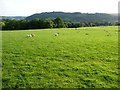 Public footpath heading south-west to School Lane, Llandinam