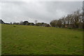 Field near the Sewage Works