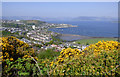 NS2577 : Gourock from Lyle Hill by Thomas Nugent