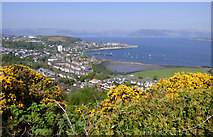 NS2577 : Gourock from Lyle Hill by Thomas Nugent