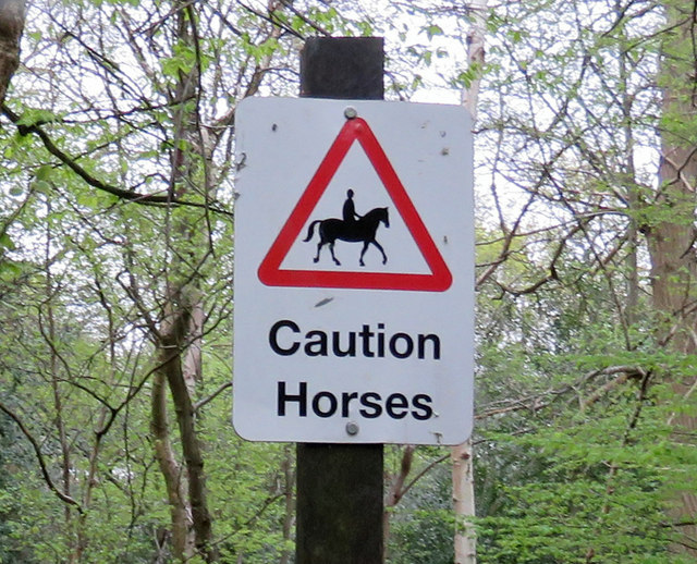 Horse warning sign