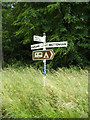 TL9884 : Roadsign on West Harling Road by Geographer