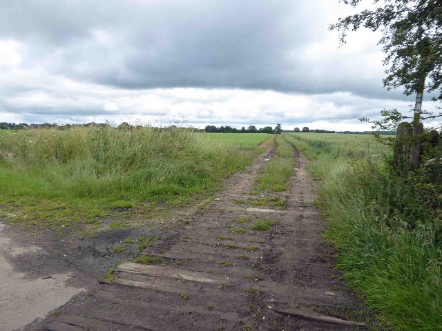 Dancing Lane crosses the Hornsea Rail... © Steve Fareham cc-by-sa/2.0 ...