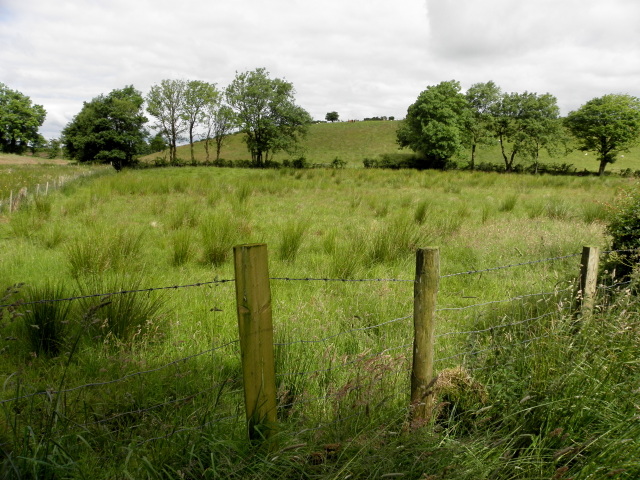 Rushy ground, Crocknafarbrague © Kenneth Allen :: Geograph Ireland