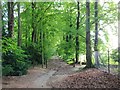 Bridleway leading from Pilgrims Way towards Court Lodge Road, Harrietsham