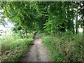 Bridleway leading from Court Lodge Road towards Pilgrims Way, Harrietsham