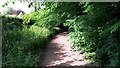 Path beside woodland near Quarry Farm