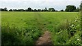 ST7763 : Path across field at Claverton Down by David Martin