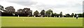 Cricket at Chelmer Park, Chelmsford