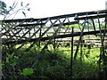 Ruined greenhouses