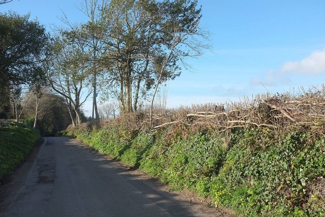 Lane at Waytown