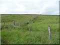 SN8495 : Moorland fence, heading north to Bryn y Fedwen by Christine Johnstone
