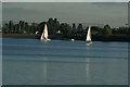 TQ4590 : View of sailing boats on the lake in Fairlop Waters #32 by Robert Lamb
