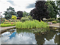 Royal National Rose Society Garden, St Albans, Hertfordshire