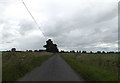 TM0181 : Harrow Lane, Garboldisham by Geographer