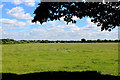 Field in Long Marston