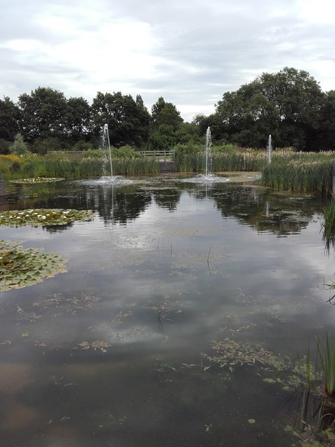 Ornamental pond at the rear of Cobham Services