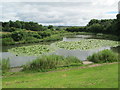 Lake at Goldenhill