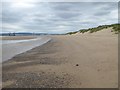 NZ5327 : North Gare Sands and sand dunes by Oliver Dixon