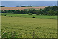 Wylye Valley near Little Langford