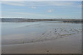 SX4461 : Mud, River Tavy by N Chadwick