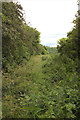 Footpath East of Peter Lane