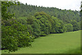 NY5124 : Field and trees by the River Lowther by Nigel Brown