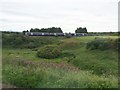 View from a Glasgow-Stirling train - near Larbert Junction