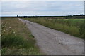 Track on Banks Enclosed Marsh