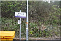 SX2463 : Liskeard Station by N Chadwick