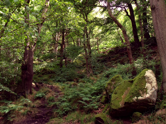 Padley Gorge © Stephen Burton cc-by-sa/2.0 :: Geograph Britain and Ireland