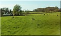 Farmland at Redhill