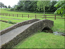W8888 : Footbridge over a stream by St. Bridget's Well by Jonathan Thacker