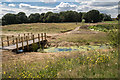 Bridge over Drainage Ditch, Firs Farm Wetlands, London N21