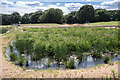 Drainage Ditch, Firs Farm Wetlands, London N21