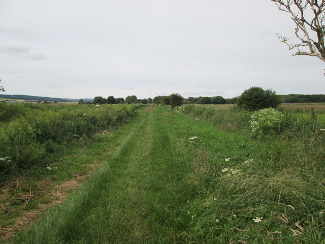 Grass  track  on  northern  side  of  River  Hertford