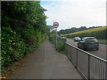 SZ0894 : Ensbury Park: 40mph sign on bridleway N03 by Chris Downer