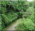 Trackbed of former Taunton to Chard railway