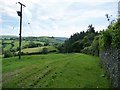 Public footpath to Lower Fedw