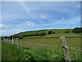 Fields below Wennallt