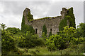 N0054 : Castles of Connacht: Rindown, Co. Roscommon (2) by Mike Searle