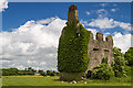N0320 : Castles of Leinster: Lisclooney, Co. Offaly (1) by Mike Searle