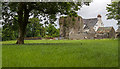 N5757 : Castles of Leinster: Killagh, Co. Westmeath (2) by Mike Searle