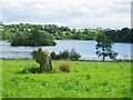 J1141 : Standing Stone And Crannog, Loughbrickland by Chris Andrews