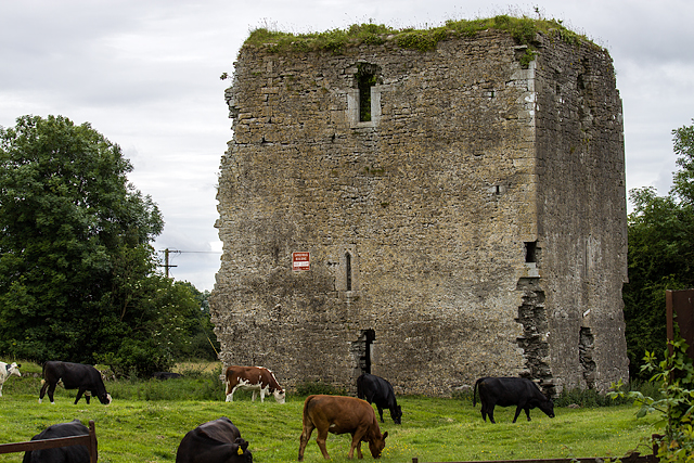 Castles of Leinster: Kinnafad (revisited), Kildare