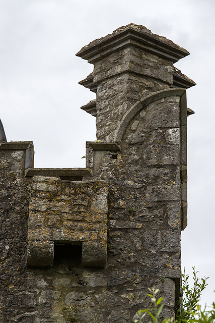 Castles of Leinster: Grange, Co. Kildare (architectural detail) (1)