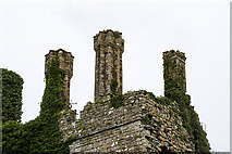 N6835 : Castles of Leinster: Carbury, Co. Kildare (revisited) (2) by Mike Searle